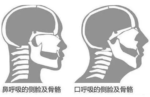&#20048;&#40060;&#119;&#101;&#98;&#29256;&#30331;&#24405;&#20837;&#21475;&#45;&#20048;&#40060;&#111;&#110;&#108;&#105;&#110;&#101;&#40;&#20013;&#22269;&#41;